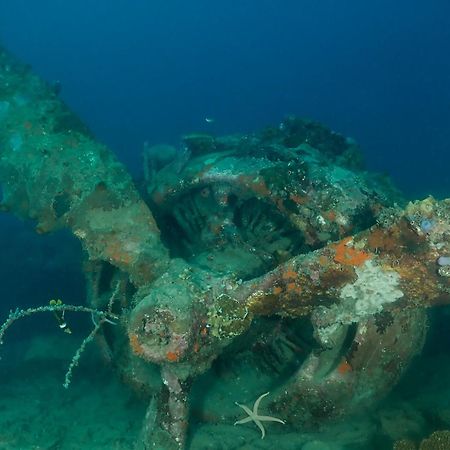 Araya Dive Resort Togean Bomba Экстерьер фото