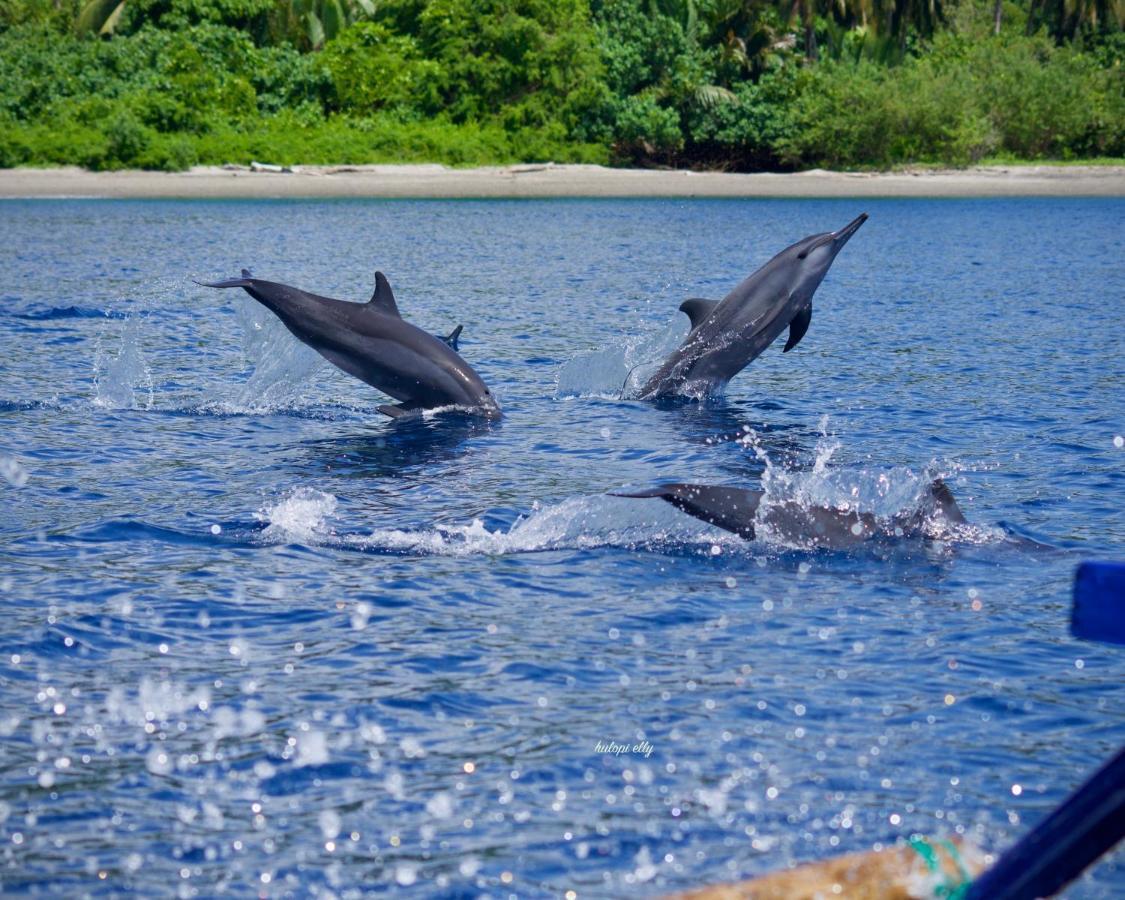 Araya Dive Resort Togean Bomba Экстерьер фото