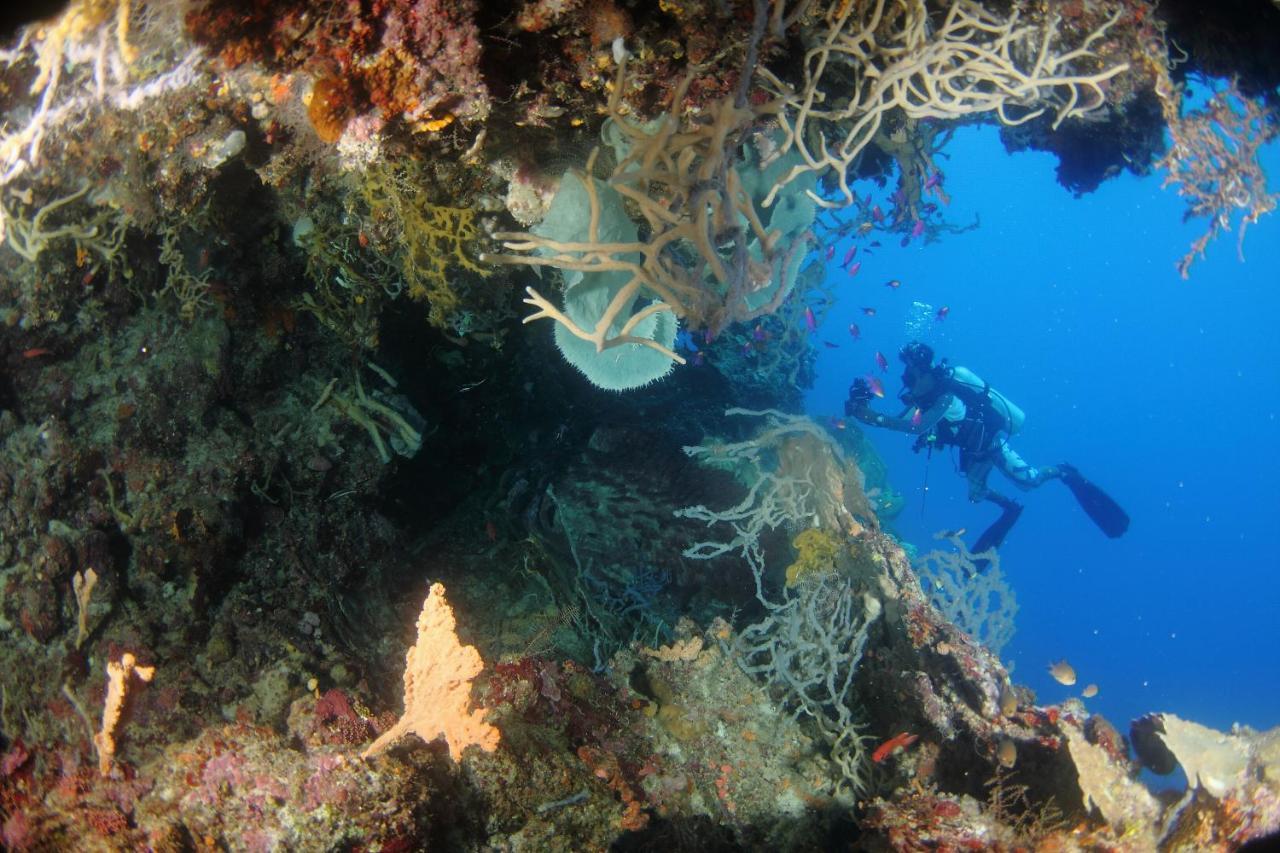 Araya Dive Resort Togean Bomba Экстерьер фото