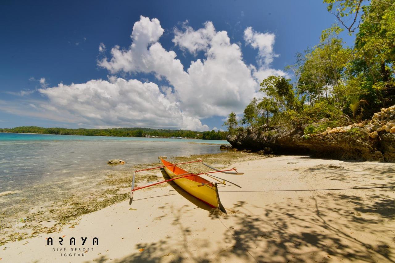 Araya Dive Resort Togean Bomba Экстерьер фото