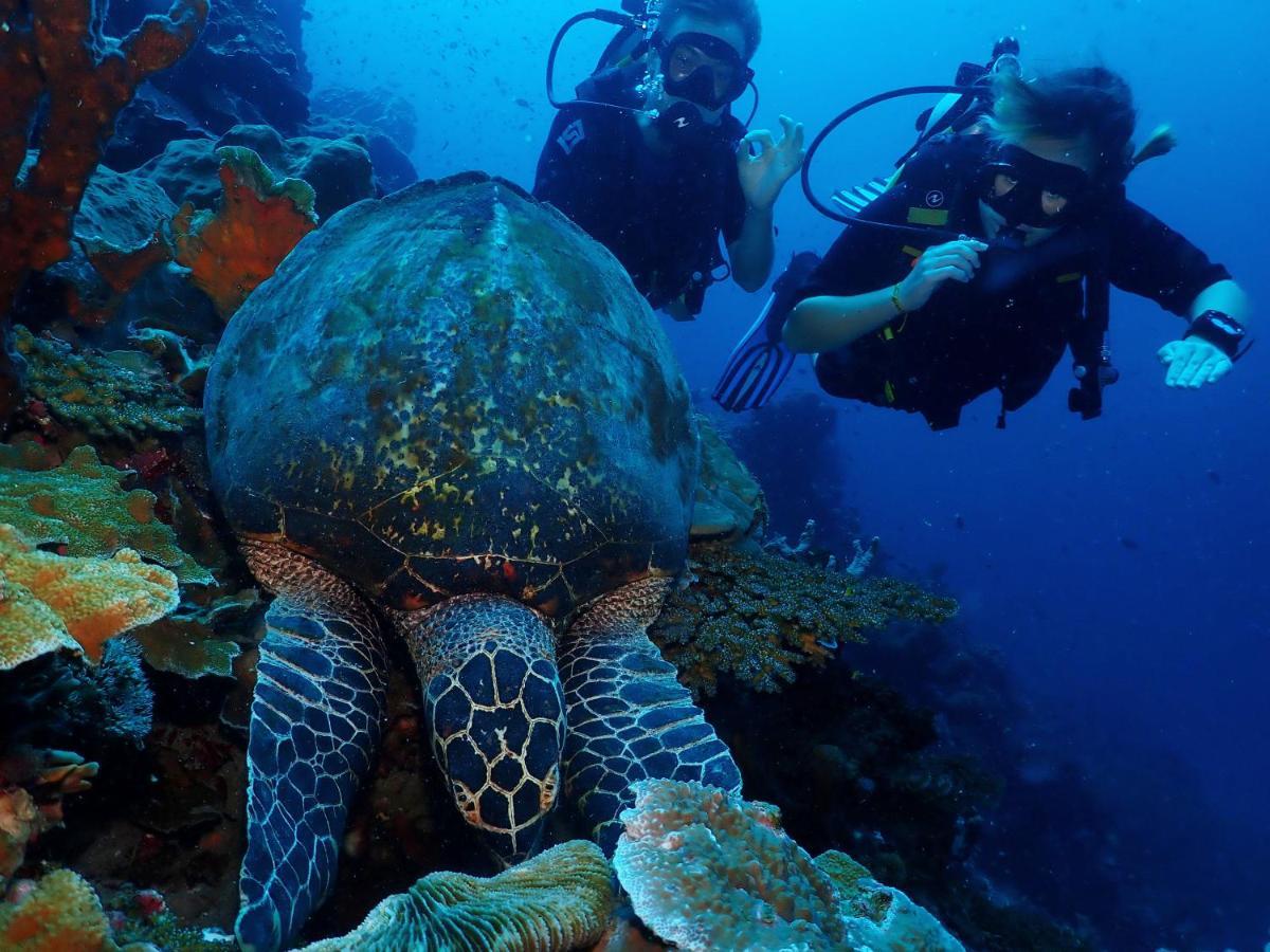 Araya Dive Resort Togean Bomba Экстерьер фото