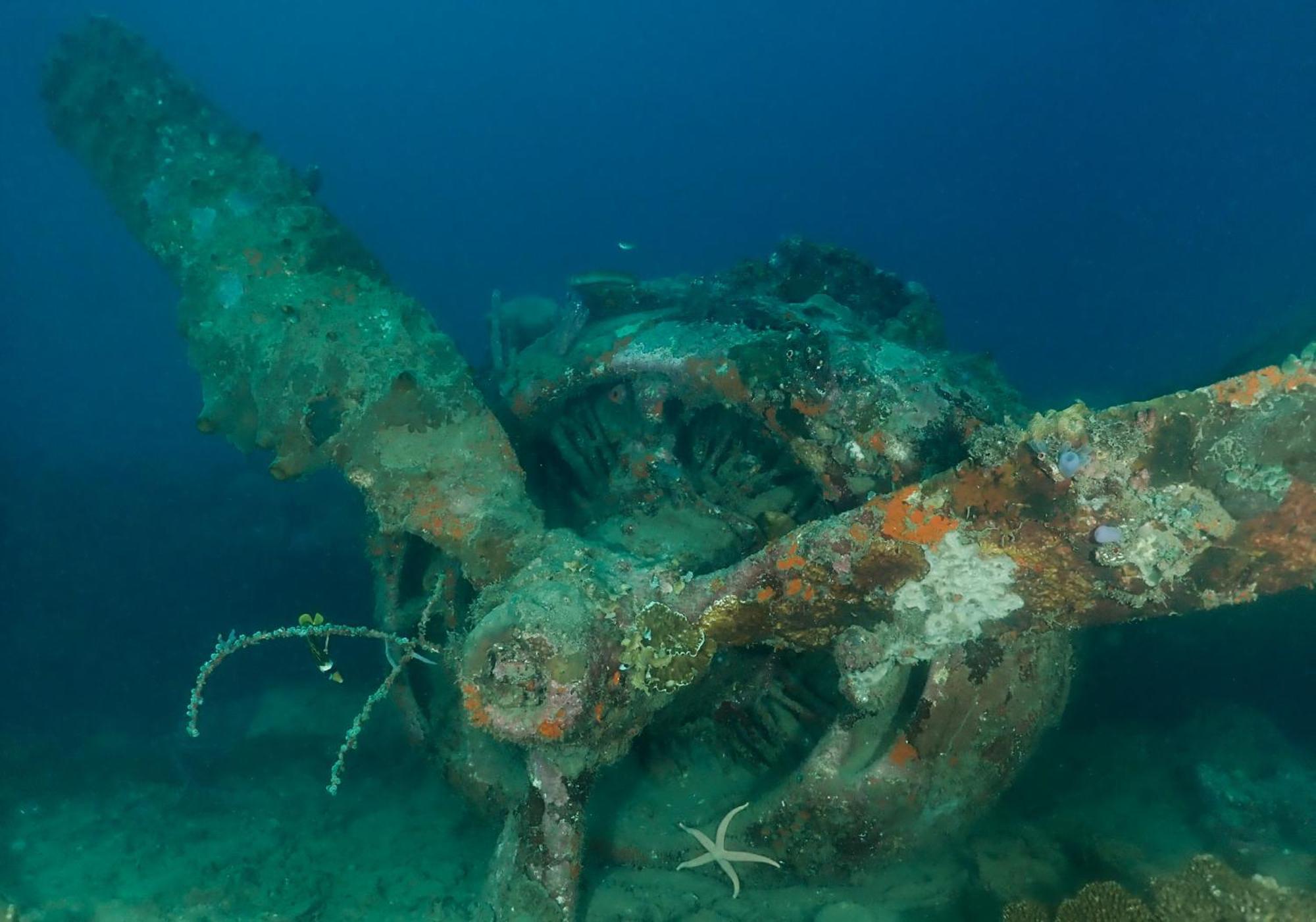 Araya Dive Resort Togean Bomba Экстерьер фото